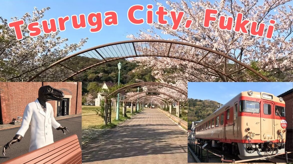 【Japan】【Fukui】Overlooking Kehi no Matsubara 【Japan】【Fukui】Overlooking Kehi no Matsubara