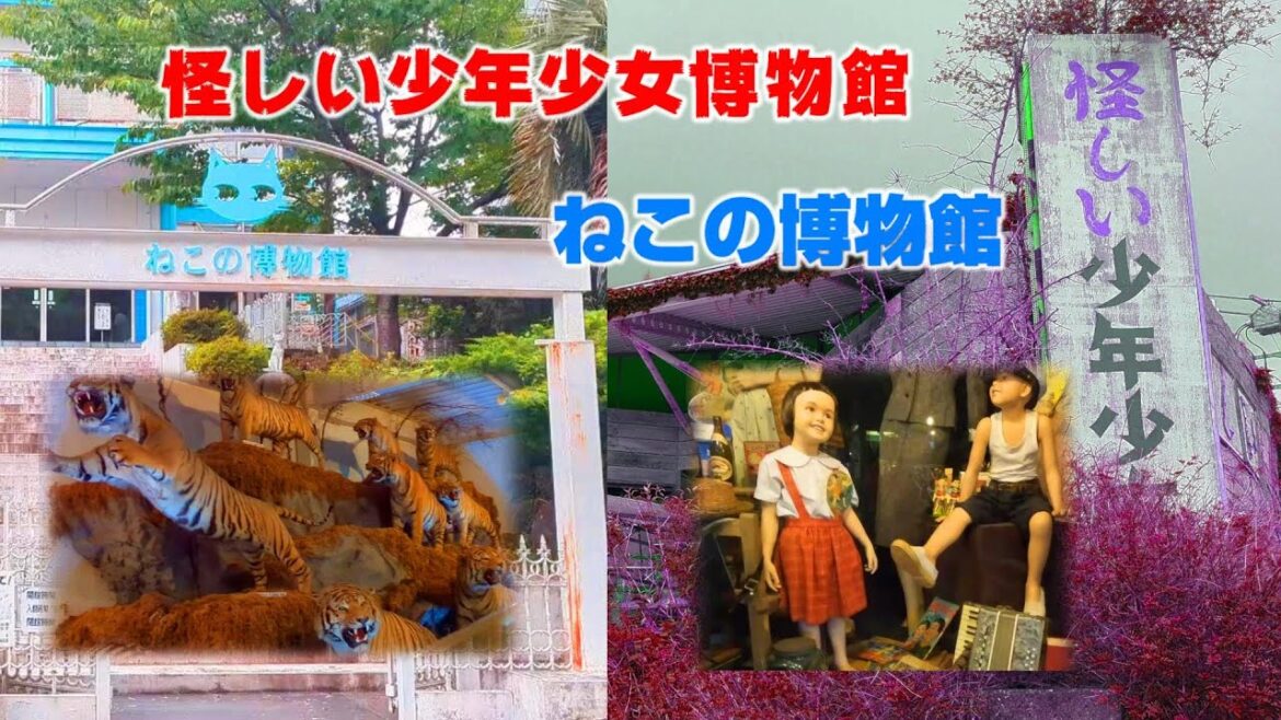 伊豆さんぽ「怪しい少年少女博物館」「ねこの博物館」摩訶不思議なレトロ空間／珍スポット