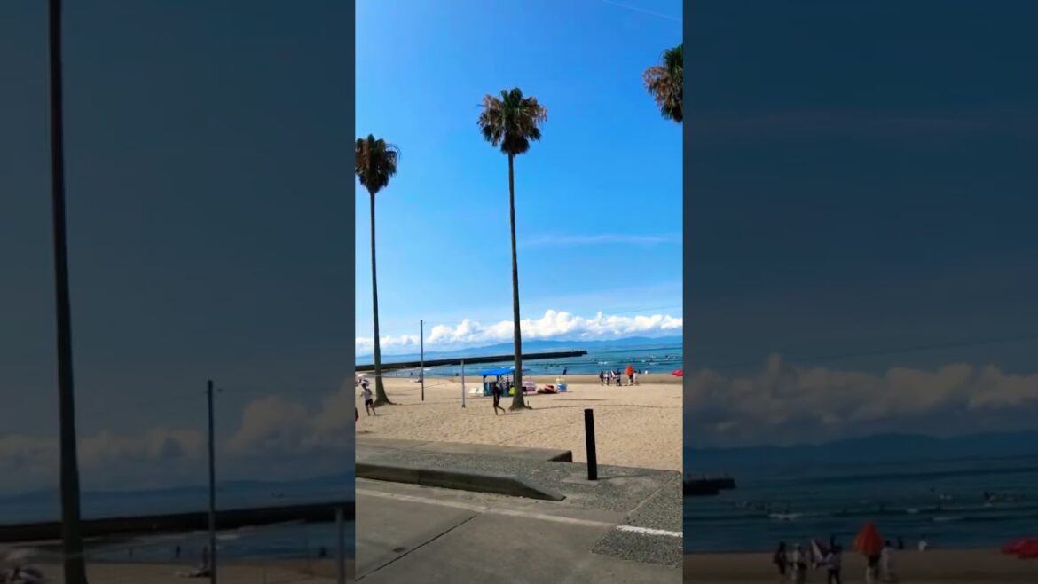 内海海岸海水浴場 Utsumi Beach in Aichi, Japan #beach #japan #shorts