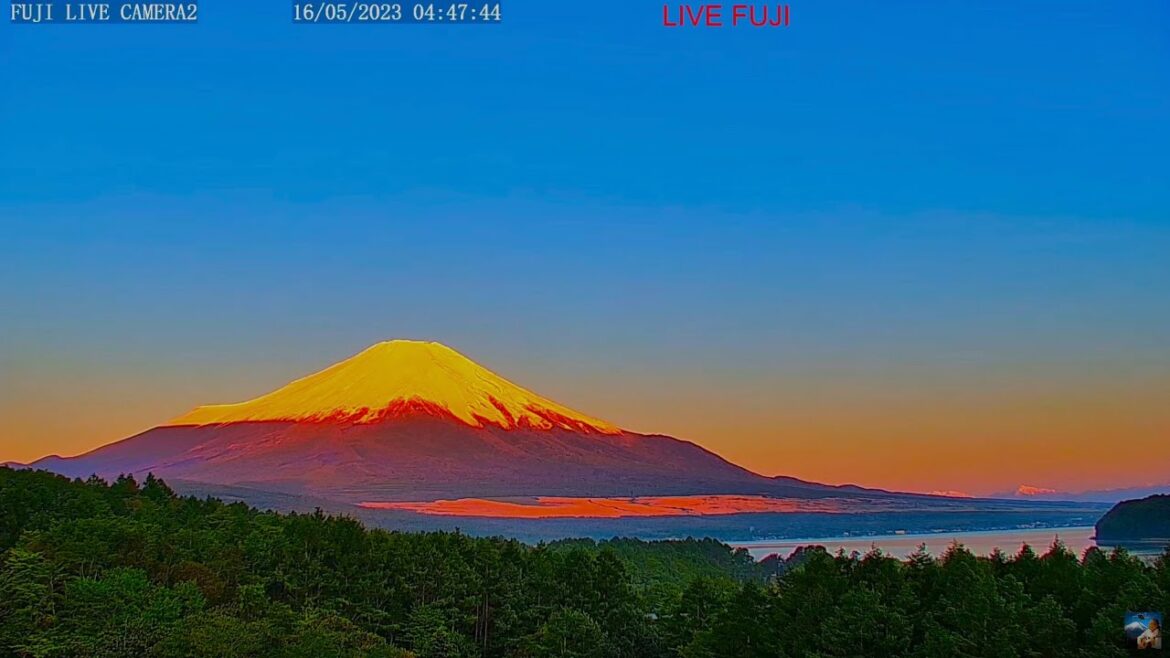 登山者の灯り、富士山ライブ夜の部、星空、流星群、赤富士、北斎画の富士山"Mt. Fuji" live camera. World heritage Fuji in the Night 、meteor、