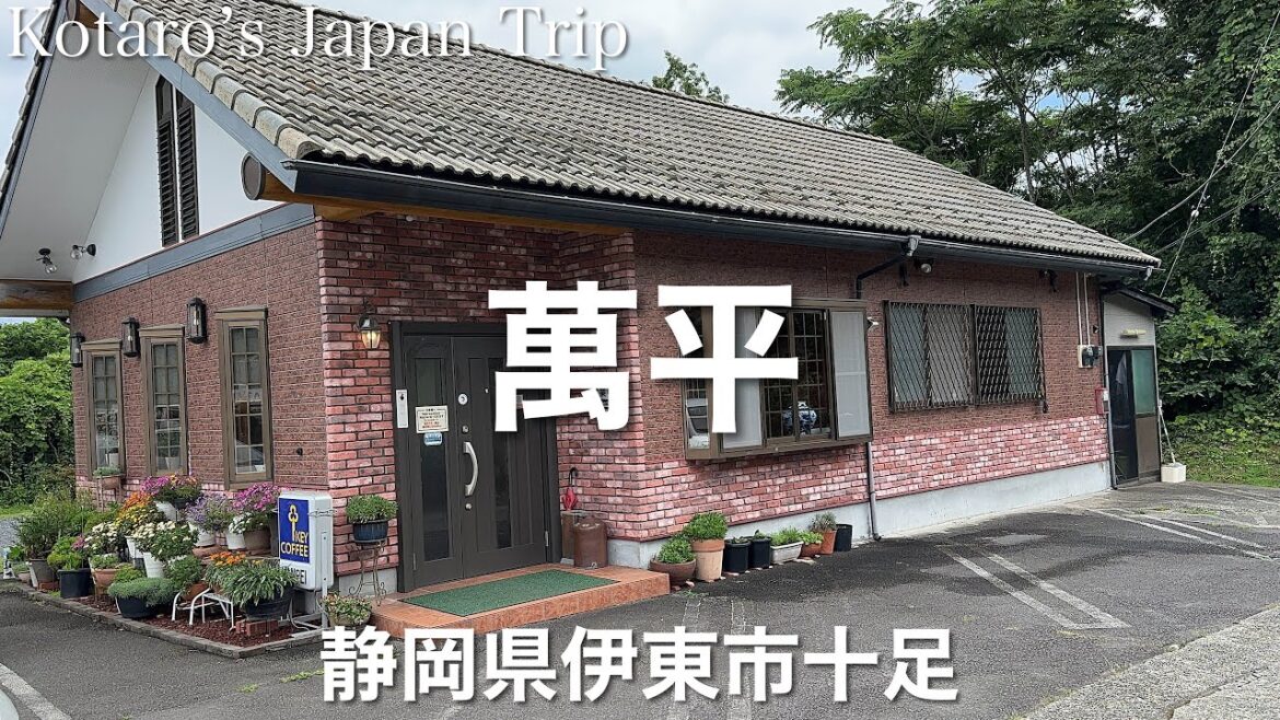 静岡グルメ旅 中華 萬平【静岡県伊東市十足】2023/7 冷やし中華 900円。