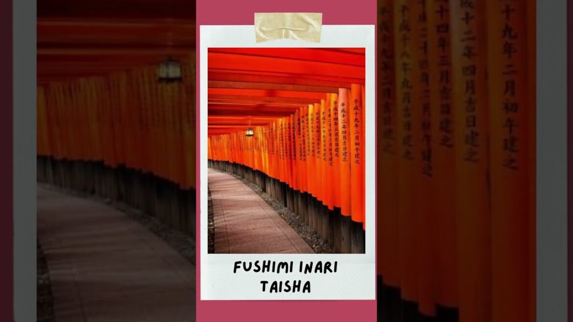 Top sights in Kyoto #shortsvideo #travel Top sights in Kyoto #shortsvideo #travel