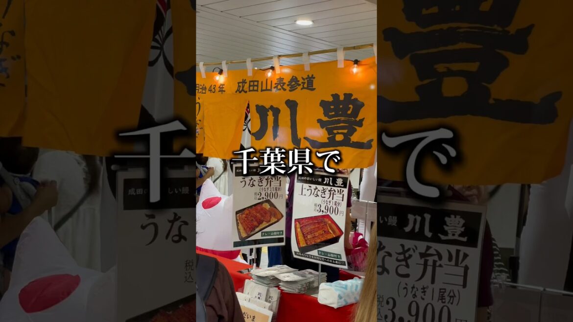 千葉県で鰻を買ってみた結果「土用の丑の日、大勝利」川豊のうなぎ弁当が美味しい件 #shorts