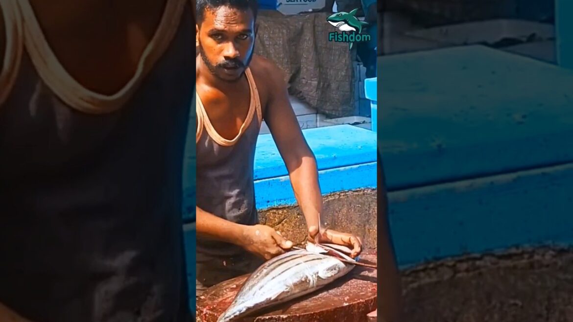 Amazing 😲! Skipjack tuna fish cutting #skipjack #skipjacktuna #tuna #tunafish #tunafish #tunafishing