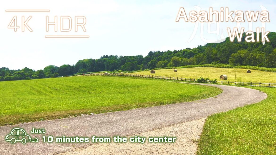 Summer drive & walk around expansive campsite rich in nature in Asahikawa, Hokkaido, Japan | 4K HDR Summer drive & walk around expansive campsite rich in nature in Asahikawa, Hokkaido, Japan | 4K HDR