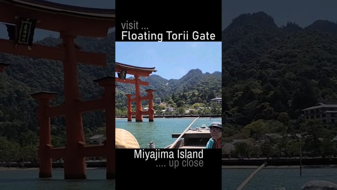 Roaring through the waves, we set sail towards the floating Torii gate!  🌊⛩️ Roaring through the waves, we set sail towards the floating Torii gate!  🌊⛩️