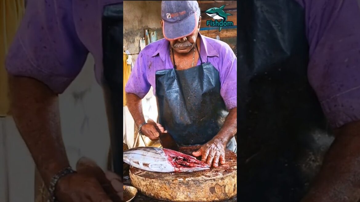 Village fish cutter  😲 ! Skipjack tuna fish cutting #fishcuttingskill #fishcutting  #skipjacktuna