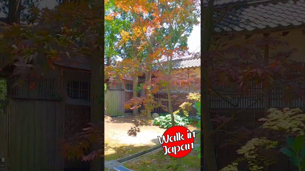 Ninomiya Japanese Garden #shorts Ninomiya Japanese Garden #shorts