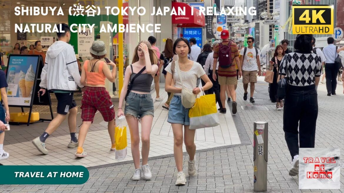 4k hdr japan travel | Walk in Shibuya (渋谷) Tokyo japan |  Relaxing Natural City ambience
