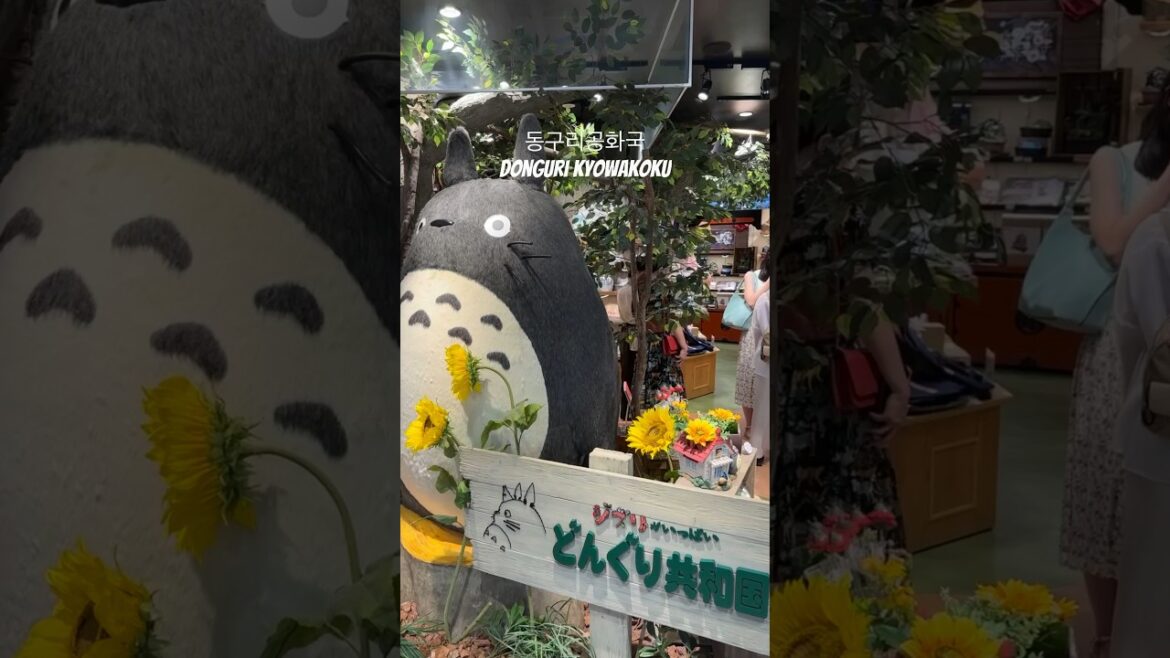 일본여행 후쿠오카 동구리공화국 Donguri kyowakoku #여행 #travel #japan #fukuoka #shorts 일본여행 후쿠오카 동구리공화국 Donguri kyowakoku #여행 #travel #japan #fukuoka #shorts