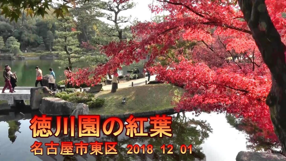 徳川園の紅葉　愛知県名古屋市東区　2018  12  01