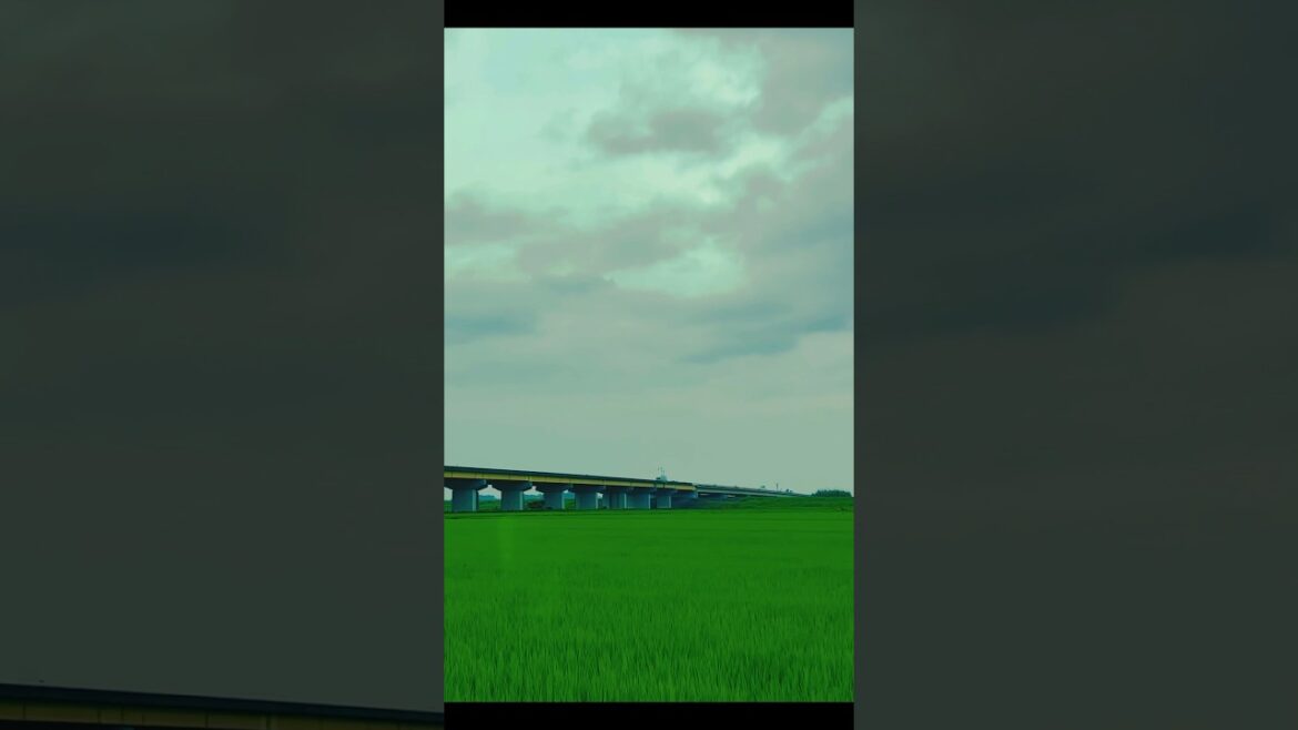 Chiba ken,kashiwa,Shintone @Travelwithshion #travel #japan #srilanka #beautiful #shortsvideo