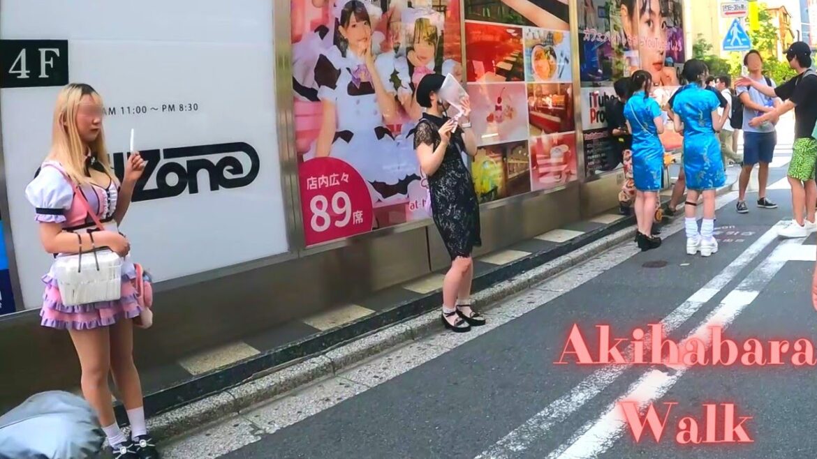Akihabara to Ueno, Tokyo, Japan walking tour.【4K】7.2023-25