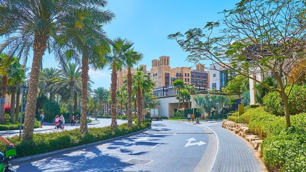 💯😳😲The most busiest street in Dubaï United Arabe Emirates What I was expected | Downtown | 4k 💯😳😲The most busiest street in Dubaï United Arabe Emirates What I was expected | Downtown | 4k