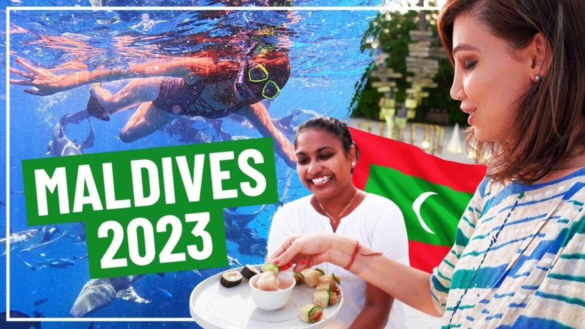 Maldives Vlog I Luxury Villa Tour, Maafushi Island, & Swimming with Sharks & more!