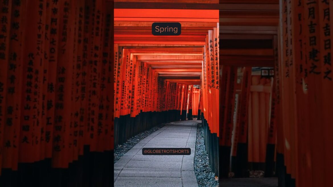 Kyoto – A glimpse of traditional Japan Kyoto - A glimpse of traditional Japan