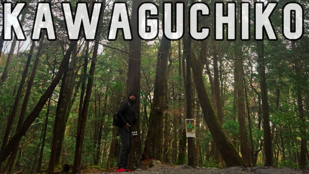 EXPLORING KAWAGUCHIKO IN THE RAIN! | AOKIGAHARA, WIND CAVE, MOUNT FUJI & MORE! | JAPAN VLOG PART - 6