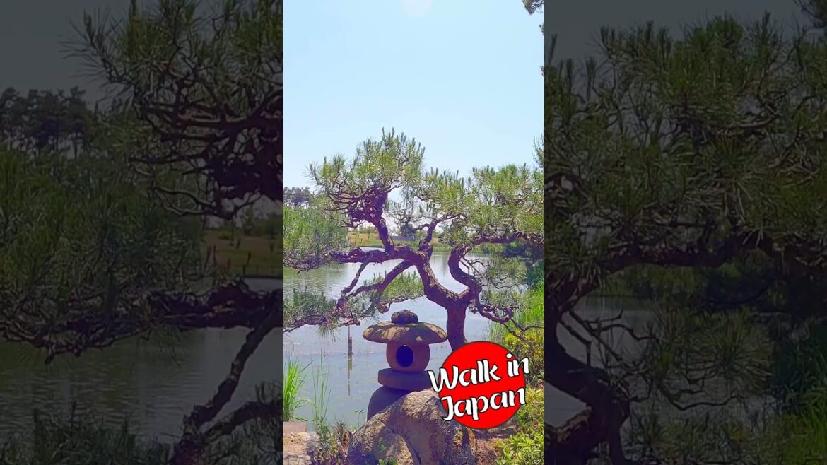 Lagoon View at Ninomiya Japanese Garden #shorts