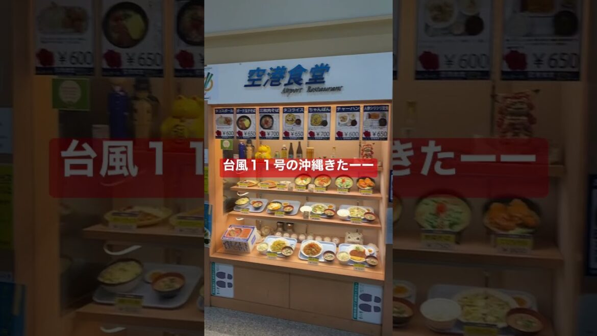 ９月３日大荒れ？那覇空港？　＃short