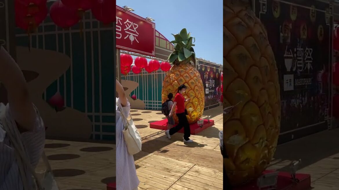 428 Taiwan Festival, Makuhari, Chiba 428 Taiwan Festival, Makuhari, Chiba