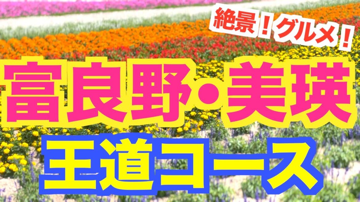 【北海道旅行情報】富良野•美瑛•旭川エリア 観光/グルメ/絶景を満喫するおすすめコース 2泊3日 【北海道旅行情報】富良野•美瑛•旭川エリア 観光/グルメ/絶景を満喫するおすすめコース 2泊3日