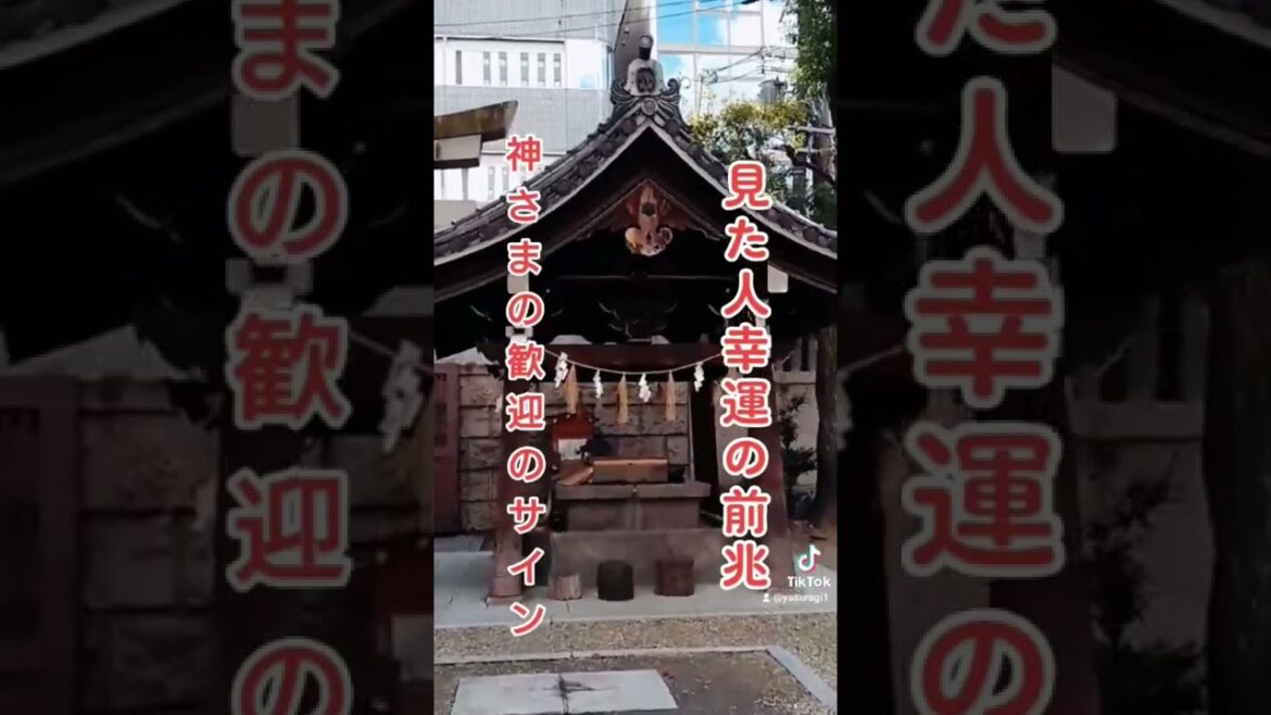 #スピリチュアル #パワースポット #波動 #shorts  #tiktok #神社仏閣 #遠隔参拝  #開運 #引き寄せ #幸運 #travel #japan