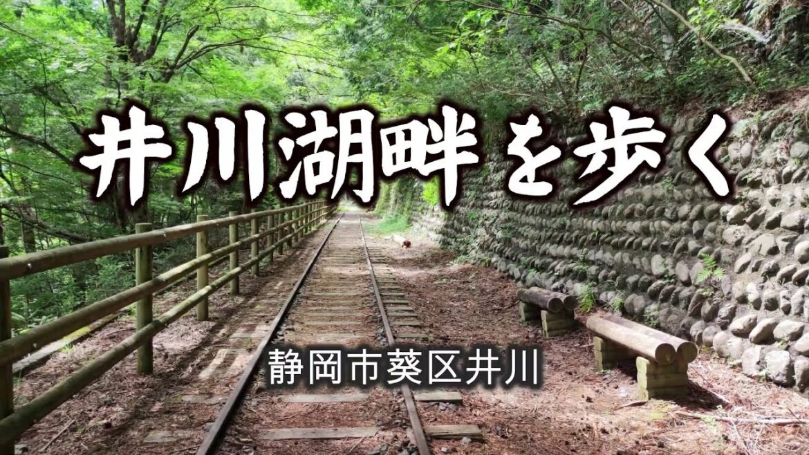 井川湖畔を歩く（静岡市）｜HTC ドライブ観光スポット