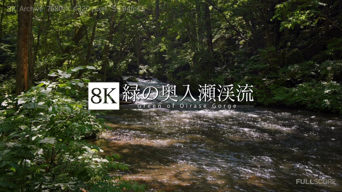 [8K footage] Green of Oirase Gorge【緑の奥入瀬渓流_8K】