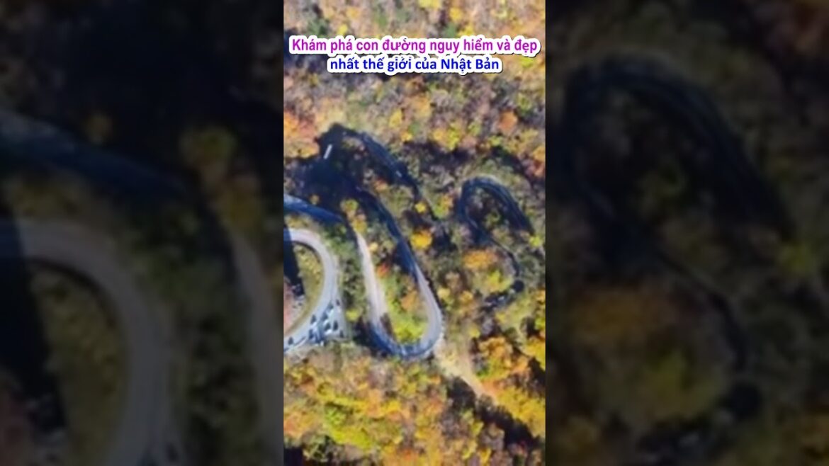 Khám phá con đường nguy hiểm và đẹp nhất Nhật Bản #shots #nhatban #dulichnhatban