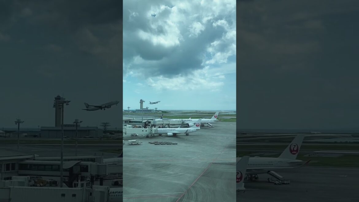 At the Airport￼￼ 2022#airport #airplane#flight#okinawa#youtubeshorts#japantravel#travelvlog