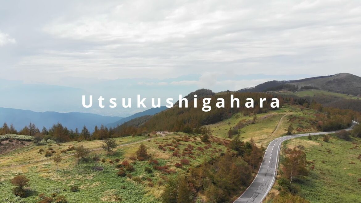 Cycling the Utsukushigahara Highlands in Nagano 美ヶ原高原サイクリング
