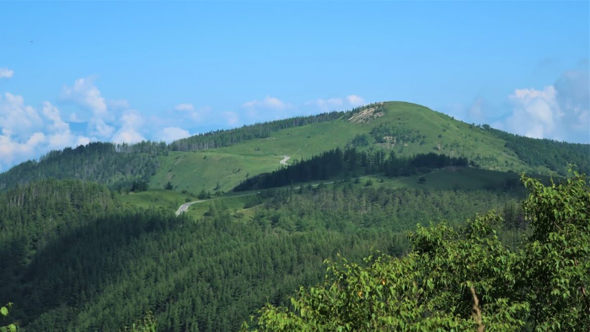 Utsukushigahara Highlands - Driving The Nagano Prefectural Road 62
