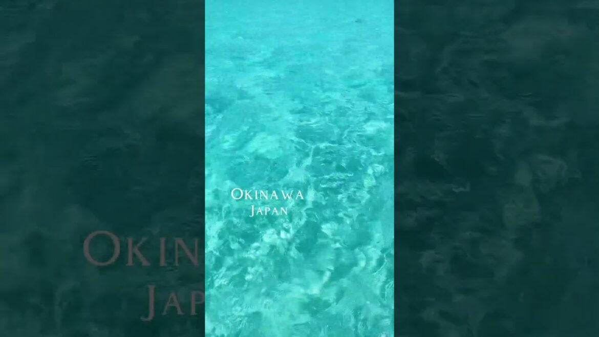 Exploring the Hidden Gems of Okinawa