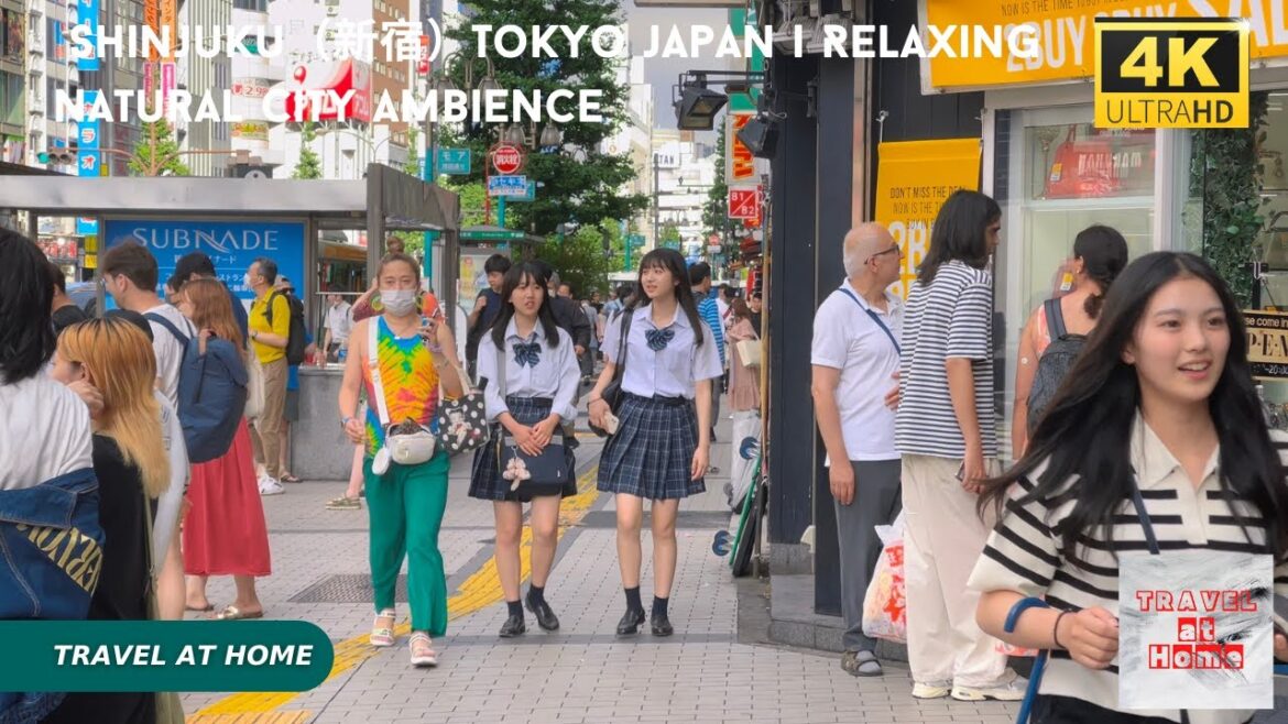 4k hdr japan travel | Walk in Shinjuku(新宿)Tokyo Japan | Relaxing Natural City ambience 4k hdr japan travel | Walk in Shinjuku(新宿)Tokyo Japan | Relaxing Natural City ambience
