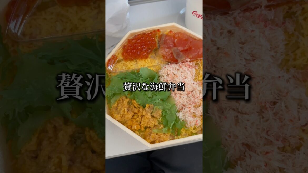 新千歳空港の空弁「佐藤水産の北の海 幸づくし」贅沢な海鮮弁当 #shorts
