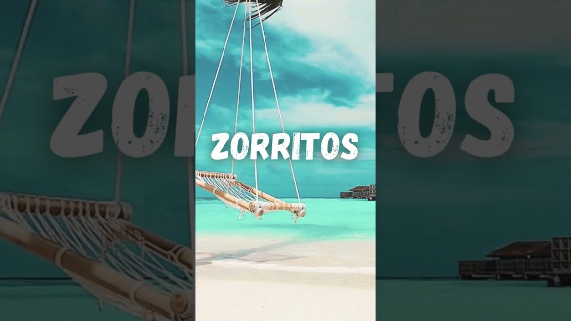 The Top Beaches: #peru #peruvianfood #passport #shorts #shortsviral #traveltips #lima #colombia