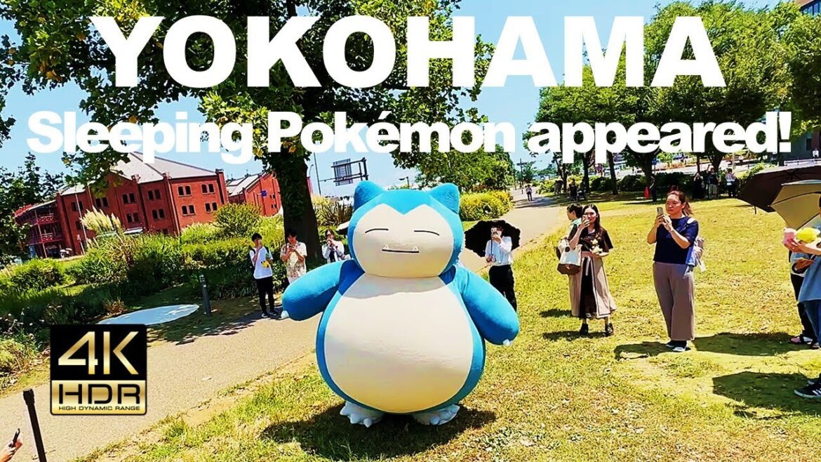 【4K HDR🇯🇵】The wild Snorlax has appeared! Snorlax is sleeping! 【4K HDR🇯🇵】The wild Snorlax has appeared! Snorlax is sleeping!