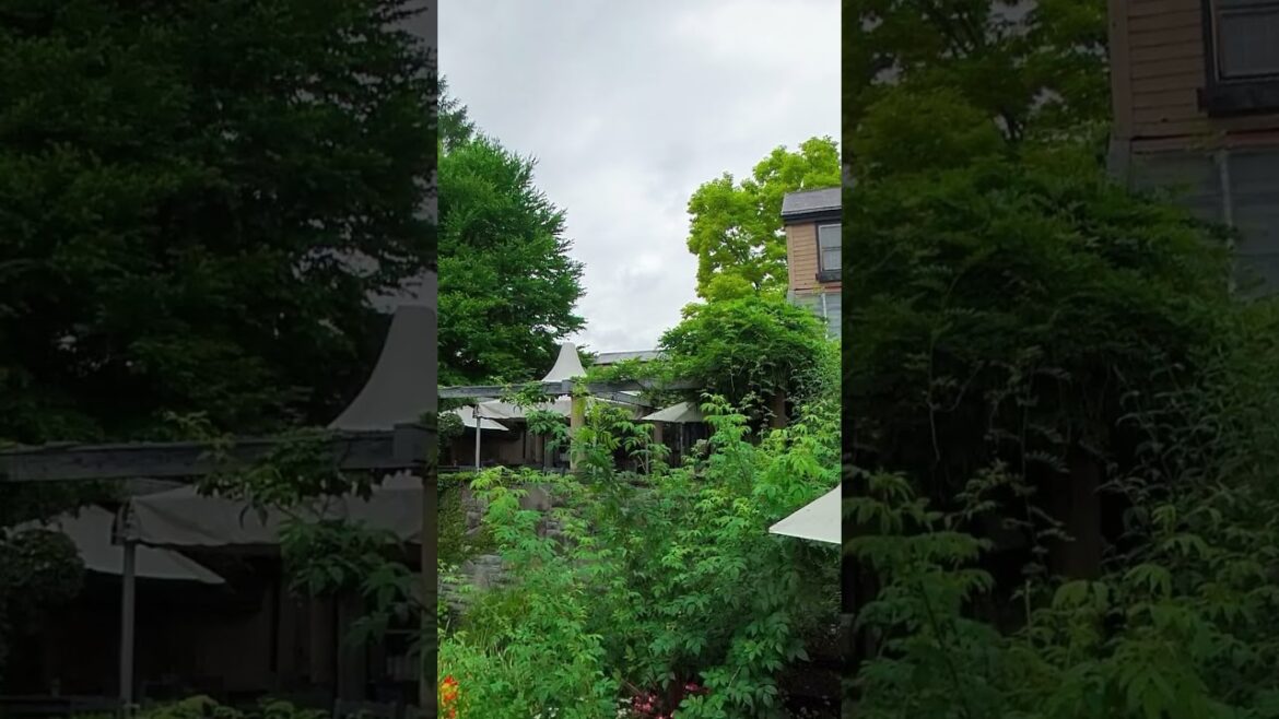 バラクラ カフェ・テラスから見る風景 バラクラ カフェ・テラスから見る風景