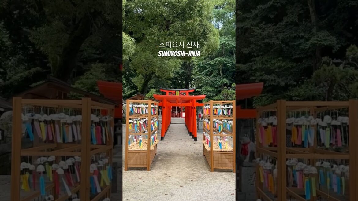 일본여행 후쿠오카 스미요시신사 Sumiyoshi-jinja #여행 #travel #japan #fukuoka #shorts