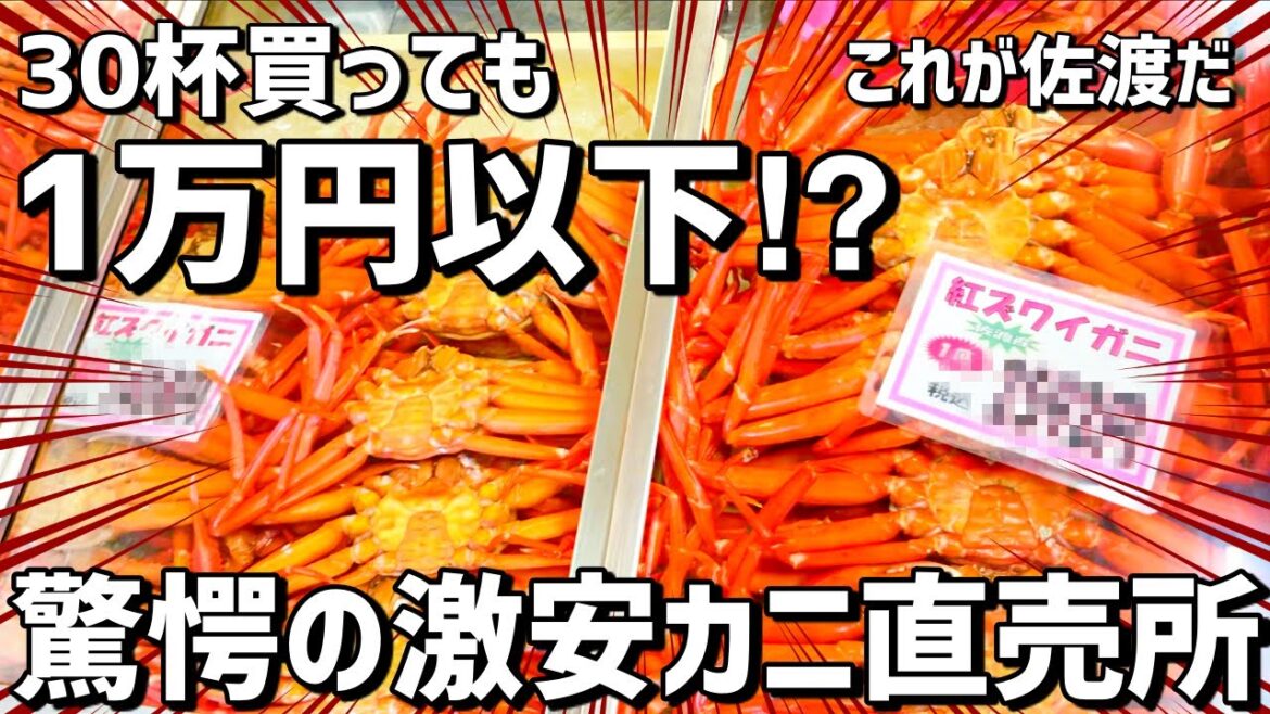 知らなきゃ損／佐渡のお土産はココ【弥吉丸】驚愕の激安カニ直売所／佐渡市赤泊／This is NIIGATA ／これが佐渡島だ