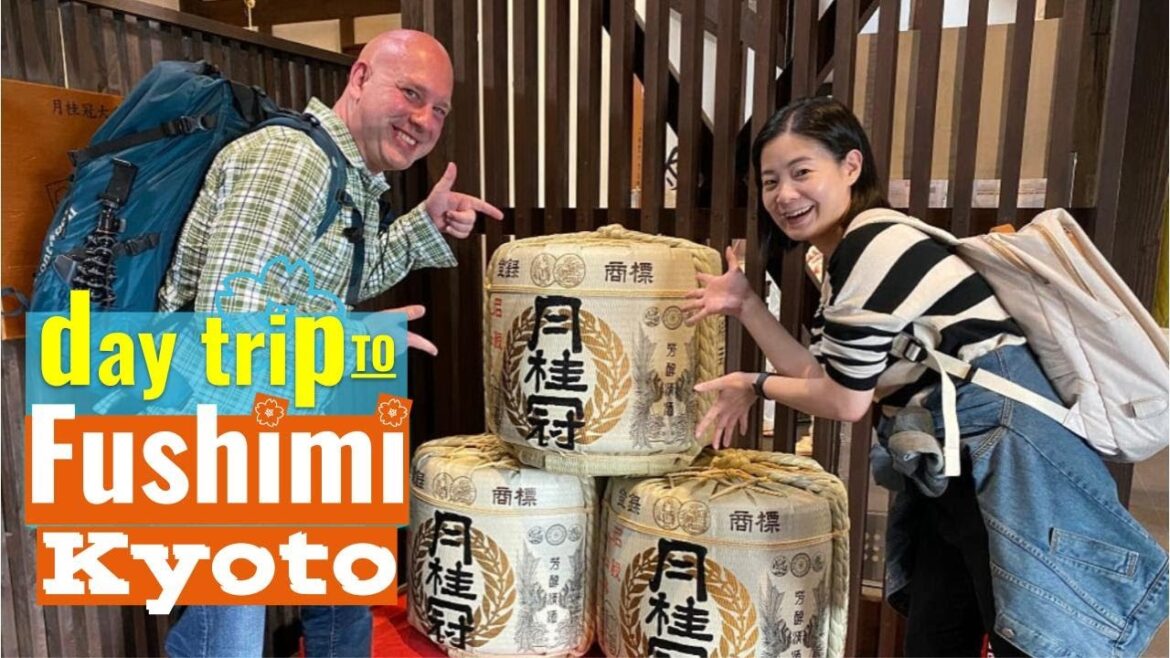 Not only torii gates! Fun things to do in Fushimi, Kyoto (+Secret Cherry Blossom Spots) - LIVE JAPAN