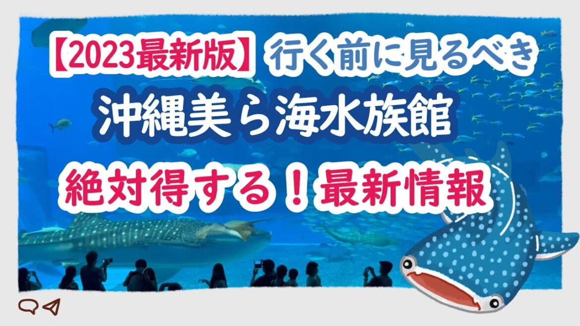 【沖縄観光1位 美ら海水族館の見どころ（2023最新まとめ）】沖縄観光人気1位｜最新お得情報｜見どころ｜半券でプレゼントをゲット｜美ら海水族館まとめ