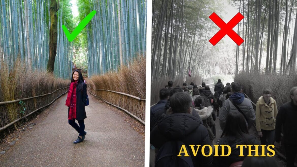 6 Things To Know BEFORE Visiting ARASHIYAMA BAMBOO FOREST | Kyoto Vlog π―π΅ 6 Things To Know BEFORE Visiting ARASHIYAMA BAMBOO FOREST | Kyoto Vlog π―π΅