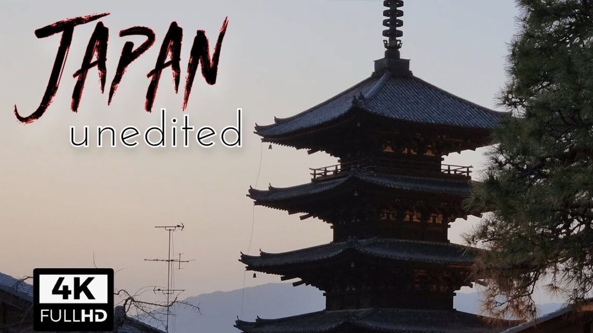 [4K] Experience a First Trip to Japan! | 5 Cities in 12 Days (Unedited)