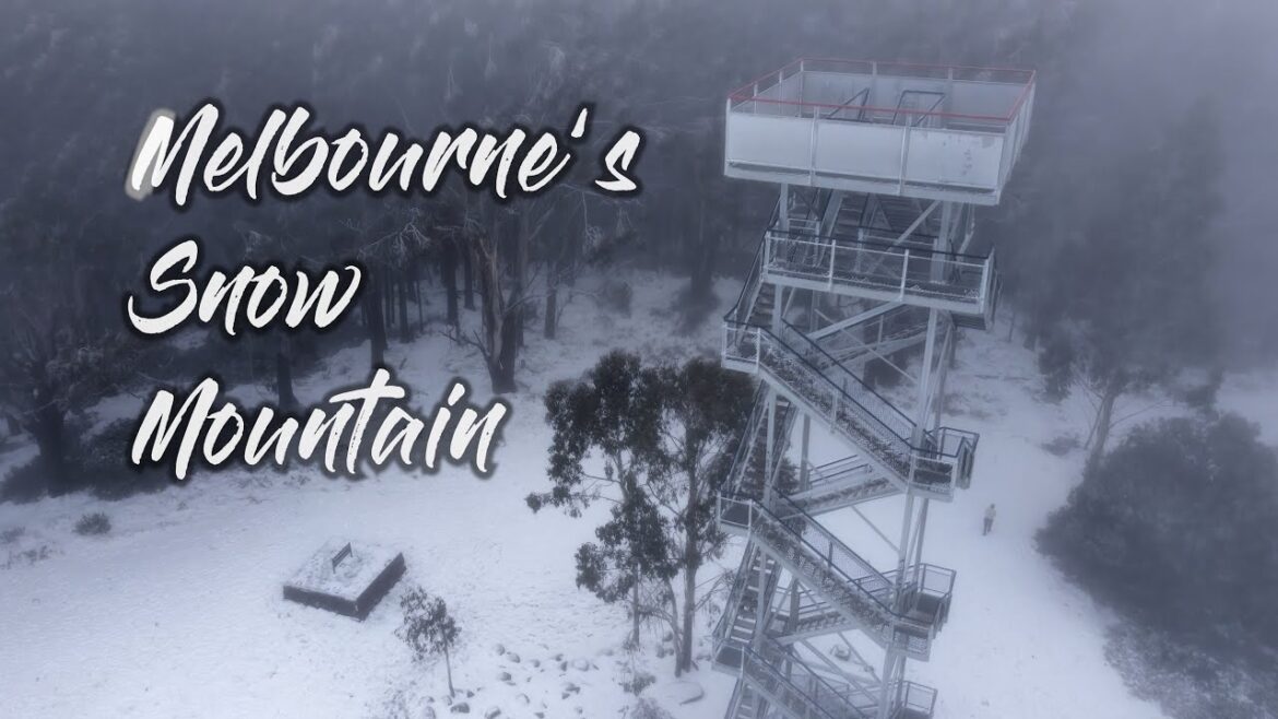 Guide to the closest 🗻 Snow Mountain in Melbourne | Mt Donna Buang Guide to the closest 🗻 Snow Mountain in Melbourne | Mt Donna Buang