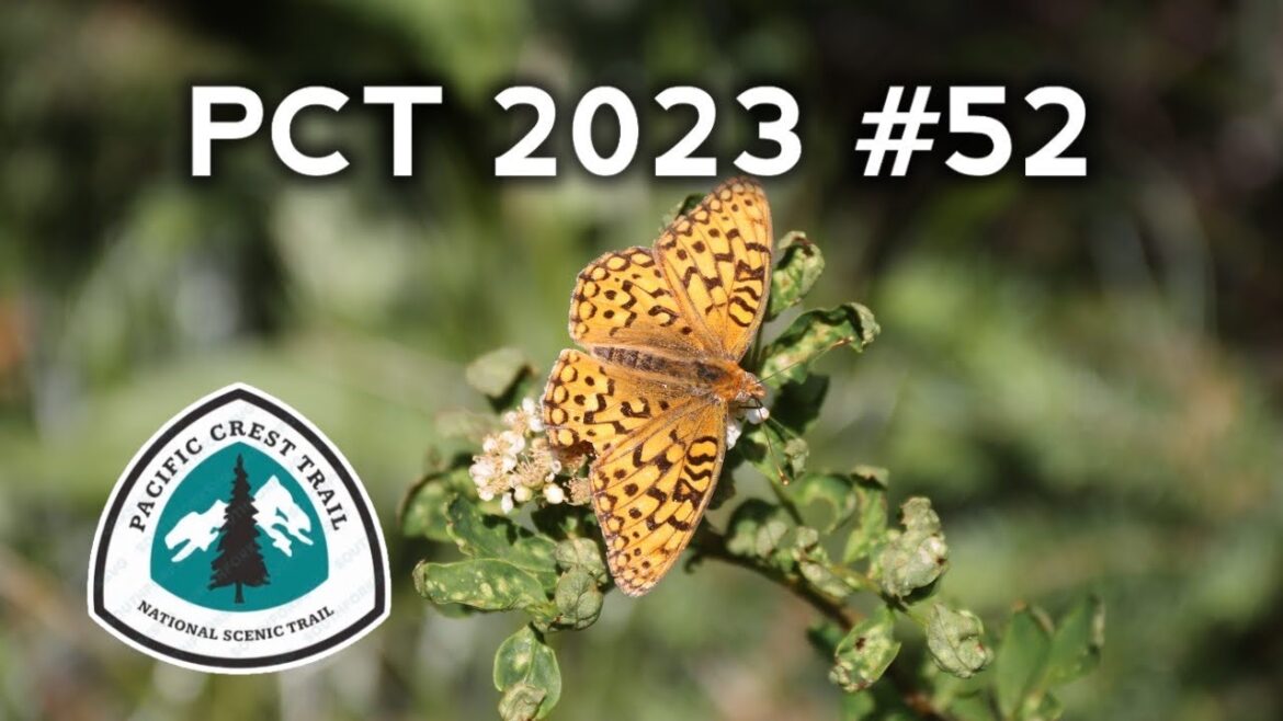 PCT 2023 Thru-Hike Vlog Ep 52: Mike’s Cabin