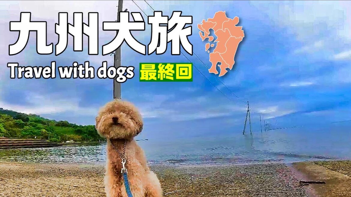 【九州犬旅 車中泊】さよなら九州 熊本で長部田海床路を見て天草ちゃんぽん食べて道の駅で車中泊|九州旅行|長部田海床路|天草ちゃんぽん|馬刺し|キャンピングカー|車中泊旅|INUVAN イヌとバンライフ 【九州犬旅 車中泊】さよなら九州 熊本で長部田海床路を見て天草ちゃんぽん食べて道の駅で車中泊|九州旅行|長部田海床路|天草ちゃんぽん|馬刺し|キャンピングカー|車中泊旅|INUVAN イヌとバンライフ