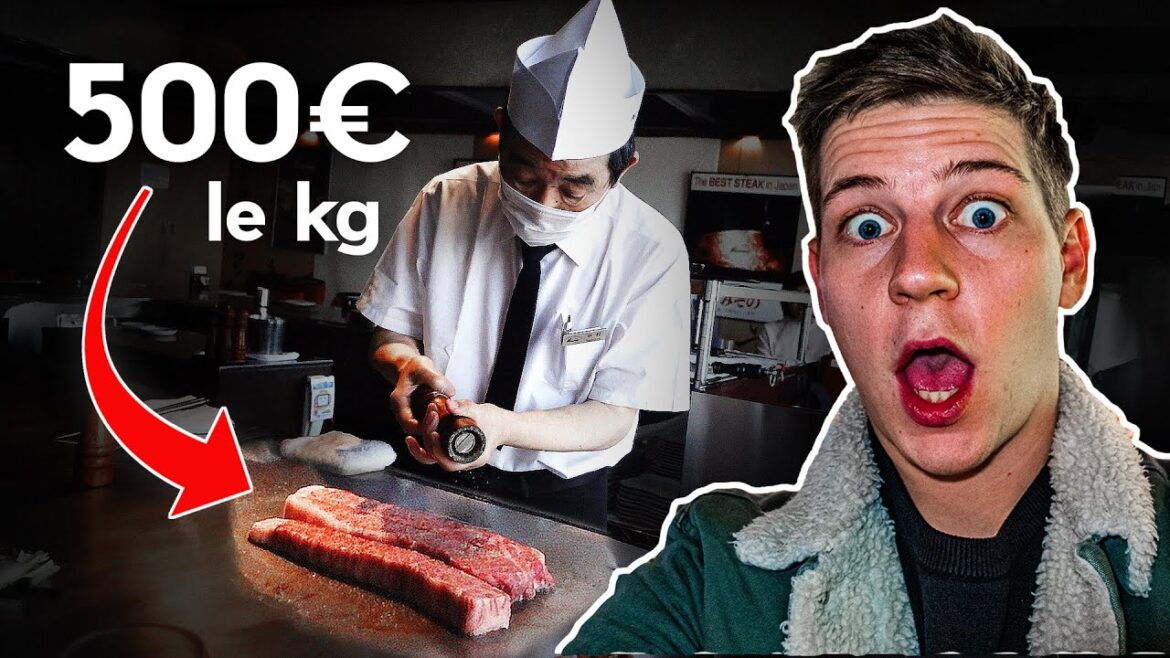 Je TESTE le BŒUF DE KOBE au JAPON 🇯🇵