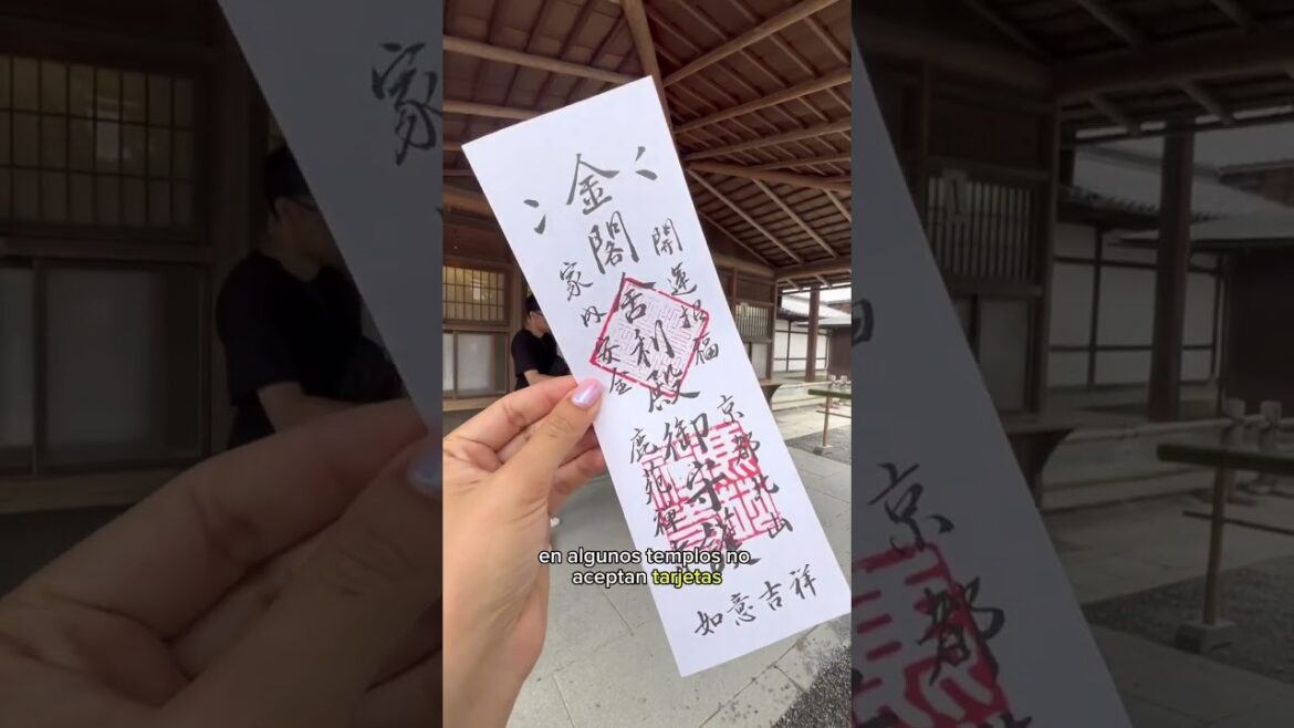 NO viajes a Japón 🇯🇵 sin saber esto