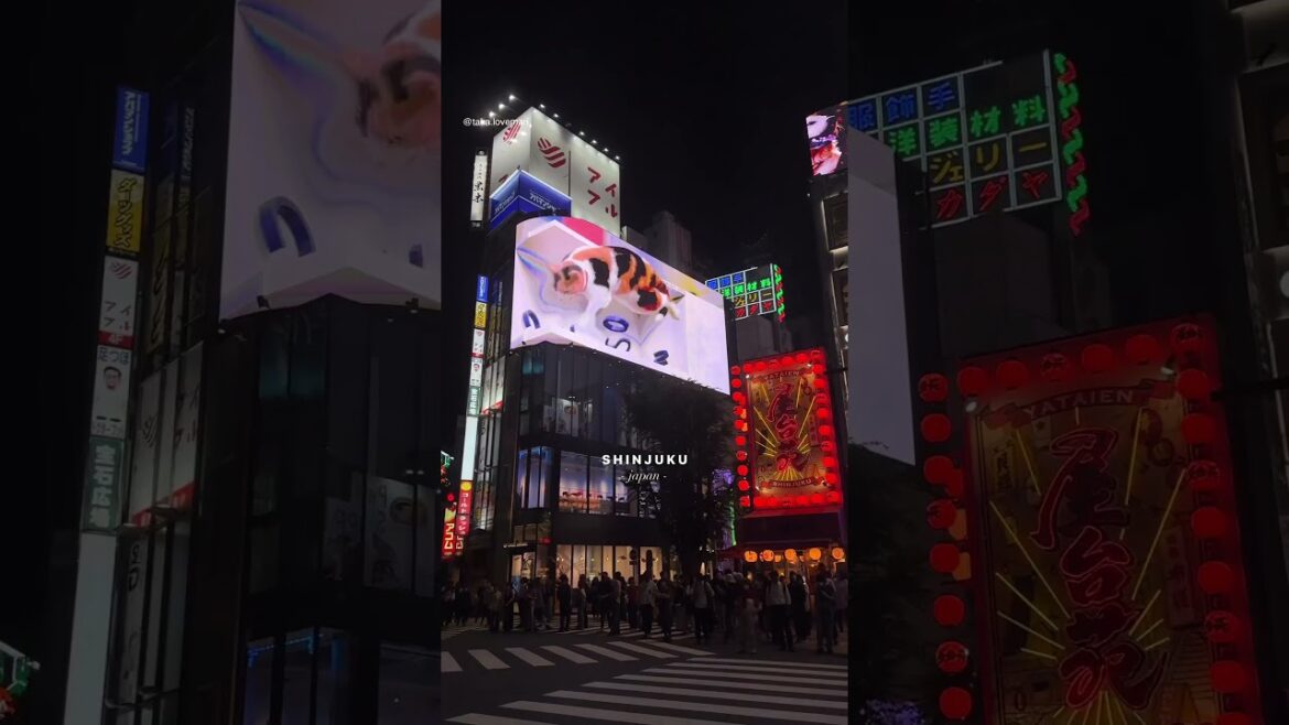Shinjuku | torii Whispers #japaneseculture #kyoto #shinjuku #japanvlog #japanlife